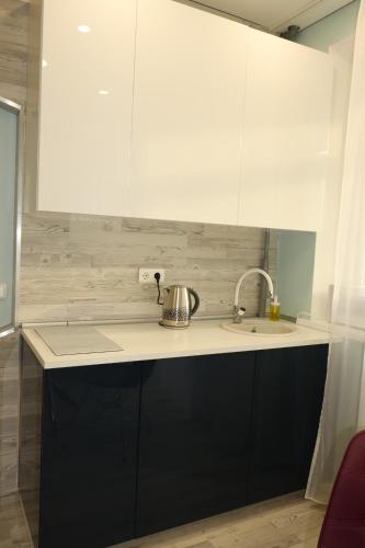 Apartment on Timiryazeva 86b