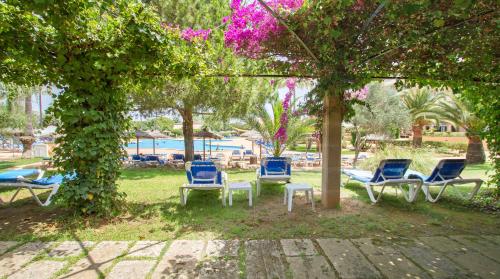 Bakour Garbi Cala Millor - image 7