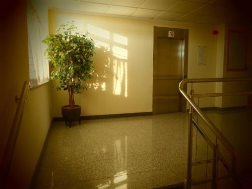 Hotel Isur Llerena - image 12