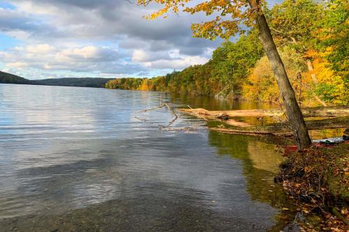 Springwater Cabin Near Hiking, Lakes, and Vineyards