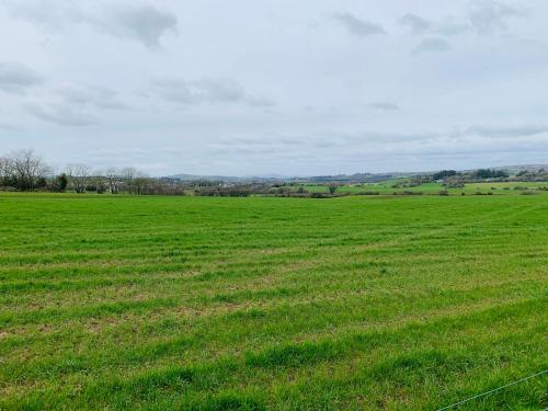 Clonakilty Barley Fields Studio