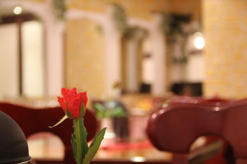 Wali's Hotel - main image