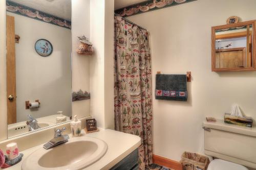 TP Condo A by Morton & Furbish - image 7