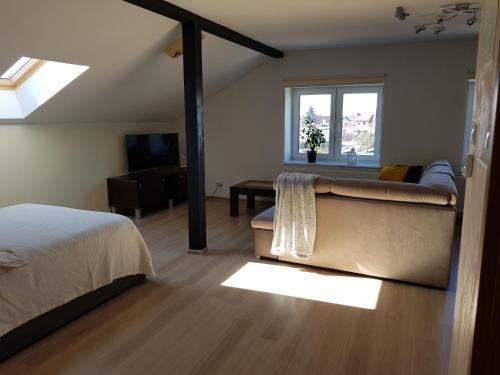 Malinowa 36 Apartamenty