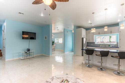 Blue Dolphin - image 7