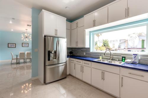 Blue Dolphin - image 9