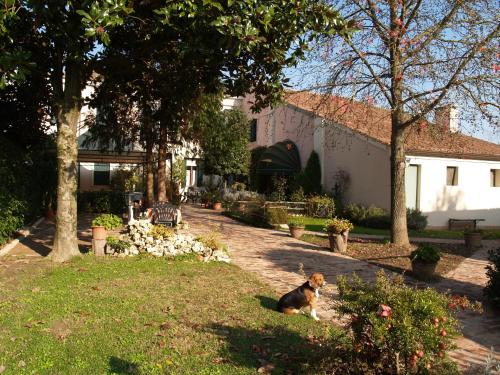 A szálláshely kívülről, Agriturismo Le Clementine in Badia Polesine