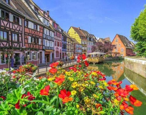 Gite Côté Cour Colmar - image 4
