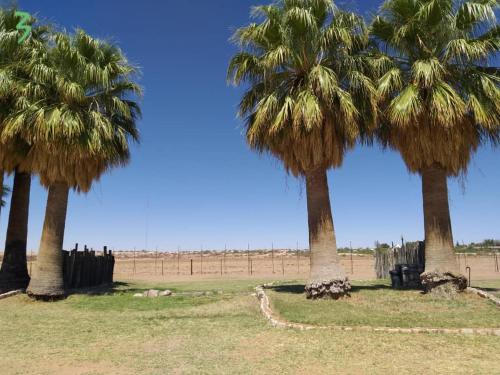 Удобства, Kalahari Farmhouse Campsite in Стамприет