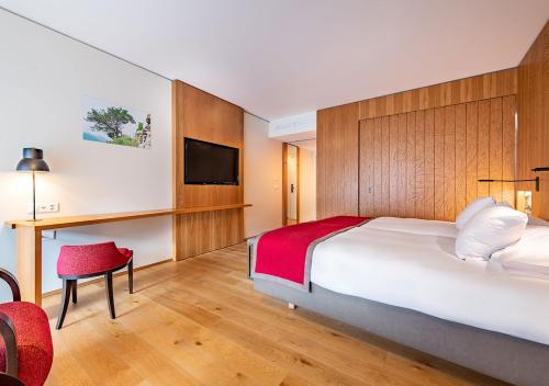 Hotel des Bains de Saillon - image 14