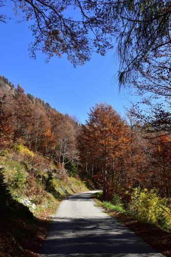 Chalet Brenta Dolomites