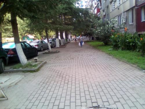 Apartment GE ZVEZDA