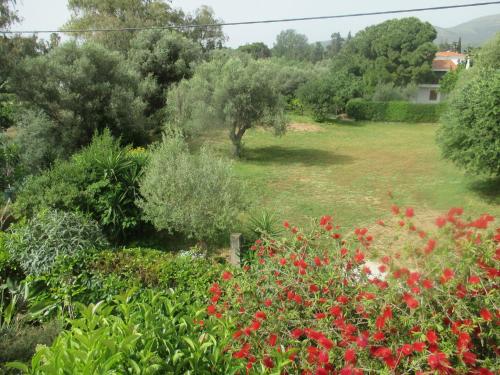 Villa Verde Apart-Hotel - image 11