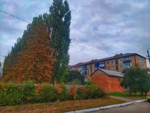 2х кімнатна квартира на вулиці Лесі Українки, Uzyn (foto 8)