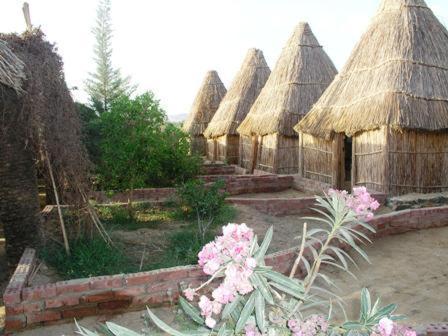 Badry Sahara Camp Baharia Oasis