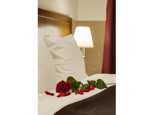 Hotel Yarden by Artery Hotels, Cracovia (foto 4)