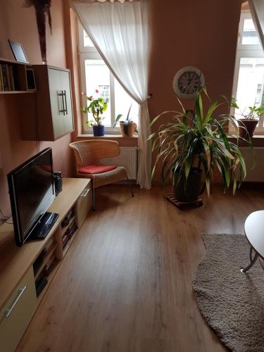 Kleine gemütliche Ferienwohnung in Dresden, Deutschland