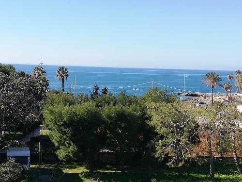 B&B Filieri 4