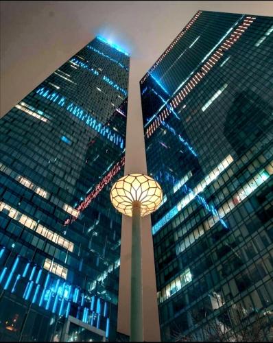 Premium Savage Moscow-City