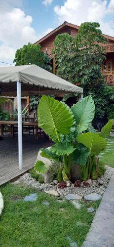 Cabañas La Finca in Atlixco, Mexico