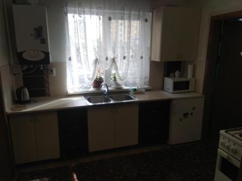 Двохповерховий будинок з двома апартаментами (Двохповерховии будинок з двома апартаментами) in 特魯斯卡韋茨