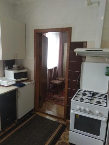 Двохповерховий будинок з двома апартаментами (Двохповерховии будинок з двома апартаментами) in 特魯斯卡韋茨