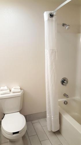 Holiday Inn & Suites Syracuse Airport - Liverpool by IHG in Liverpool, USA