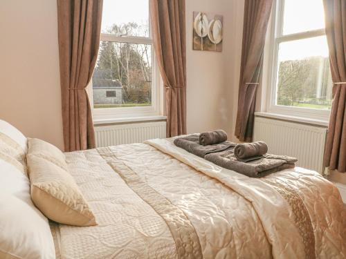 Brinks View Cottage - image 7