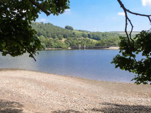 Park Road Apartment - image 5