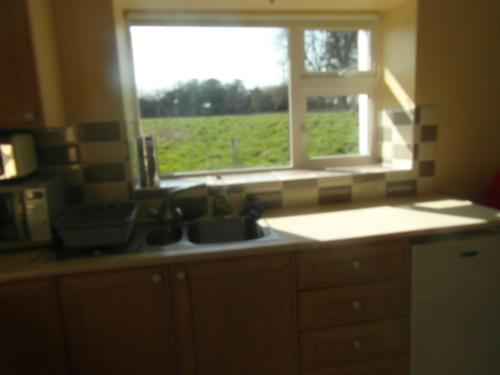 Uitzicht, Country Studio in Portarlington