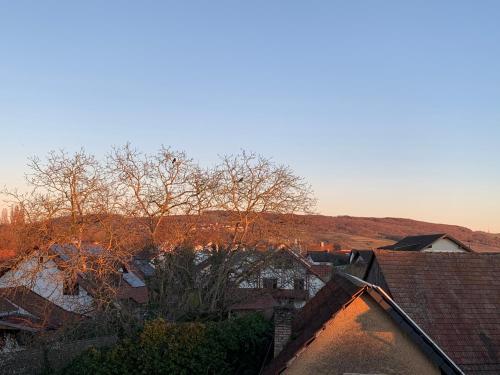 Ferienwohnung Baselblick, Eimeldingen