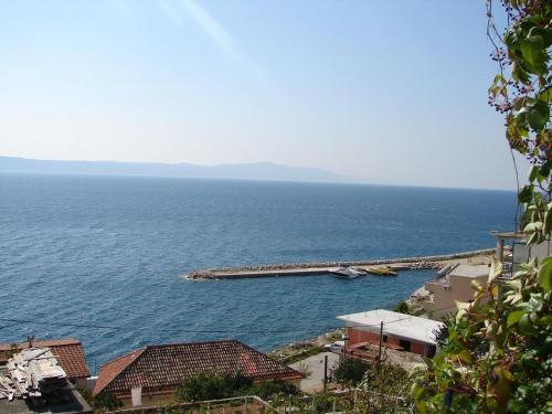  Apartments Gogi - 100 m from beach in Živogošće