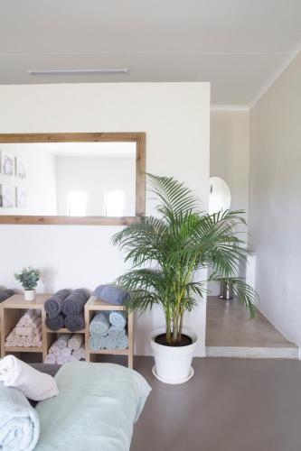 Zebra Nature Reserve