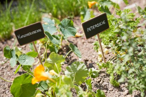 ERMITAGE Wellness- & Spa-Hotel - image 6