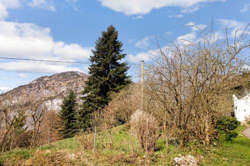 Ferienwohnung Haus Reiteralm