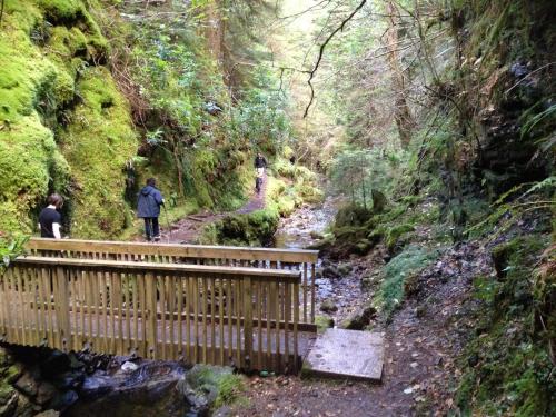 Pucks Glen Lodges - image 5