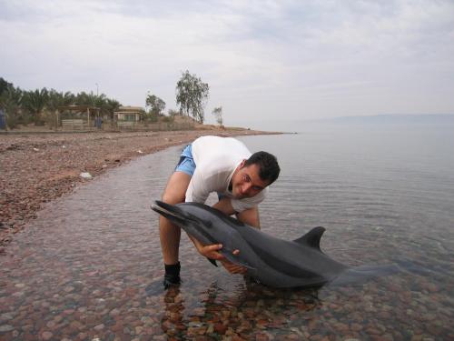 Red Sea Dive Center