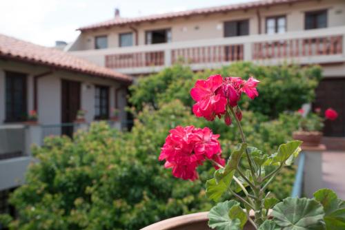 Hotel Boutique La Posada