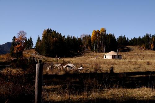 Bear Valley Highlands