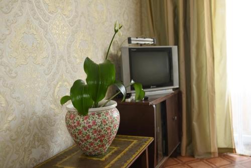 Apartment Chernovola 7A in Šostka
