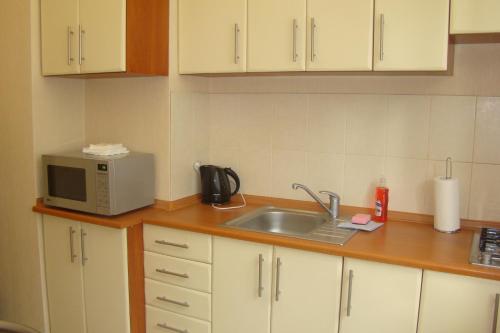 Alex Apartments on Puskinskaya - image 3