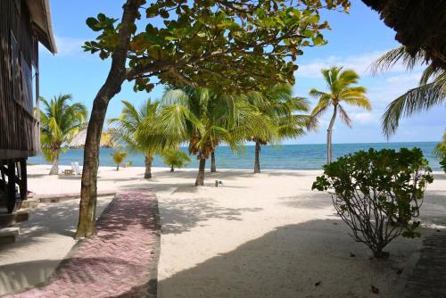 Green Parrot Beach Houses and Resort