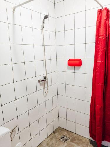 Bielik - Pokoje Gościnne, Płock (foto 9)