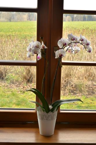 Hotel Na Statku Mirosov in มิโรซแฟ