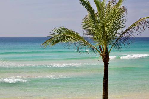 The Sandhya on Kabalana Beach