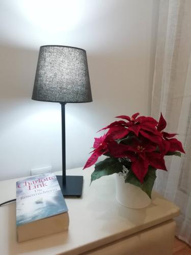 Apartment in the historic center of Porto, Porto (fotografie 4)