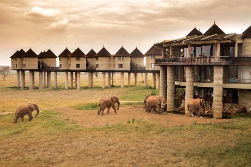 Sarova Salt Lick Game Lodge - Taita Hills Tsavo