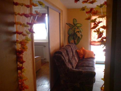 Ferienwohnung Mau - image 5