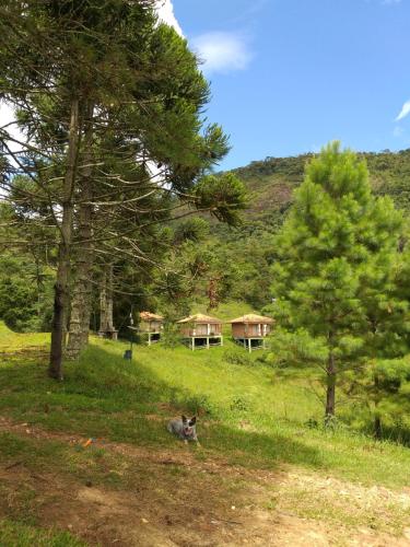 Pousada Caminho dos Ipês