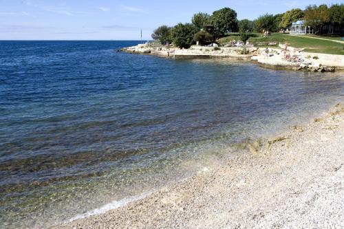 Hotel Albatros Plava Laguna - image 10